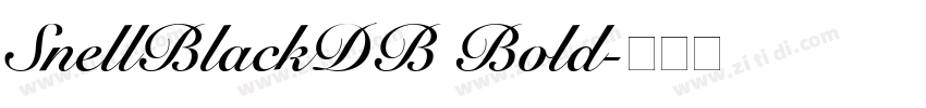 SnellBlackDB Bold字体转换